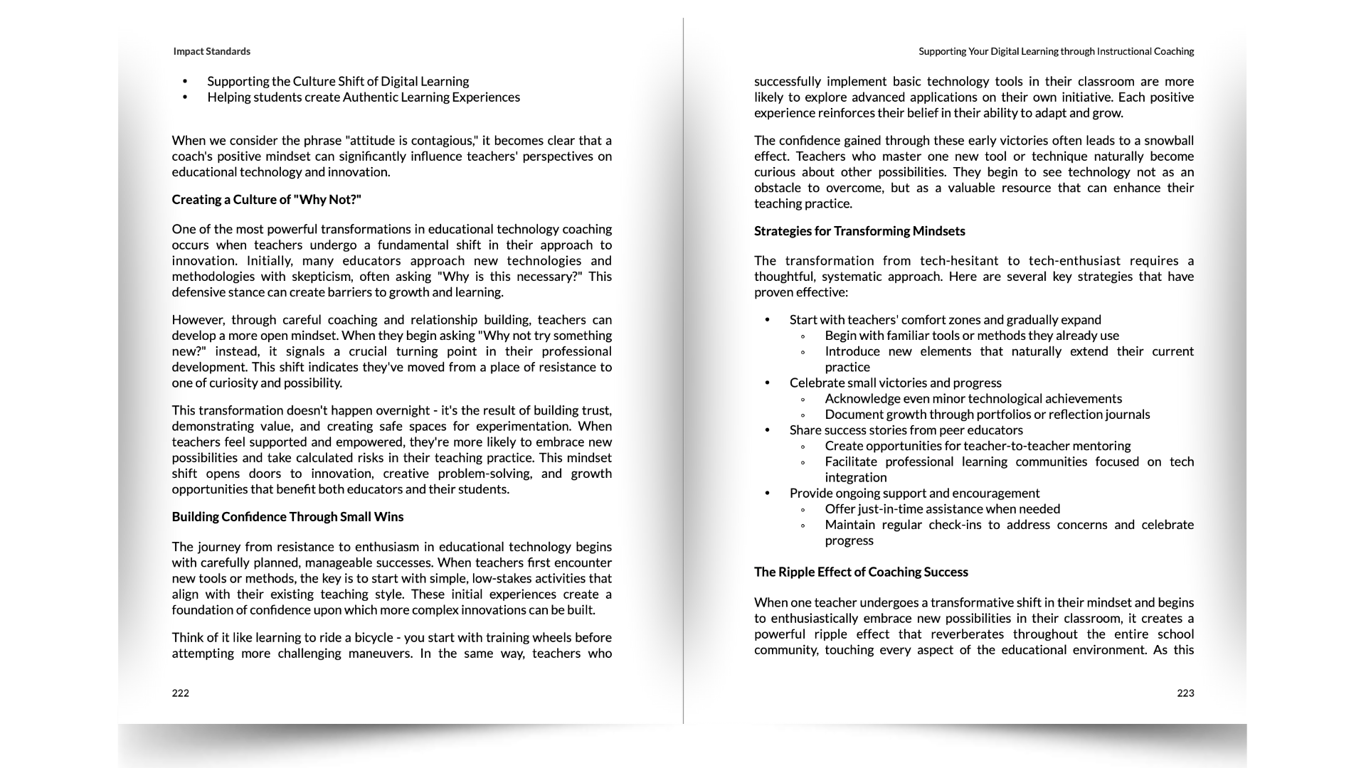 Impact Standards Sample Page 4